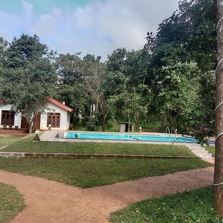 Lion King Jungle Cabanas Sigiriya Exterior foto